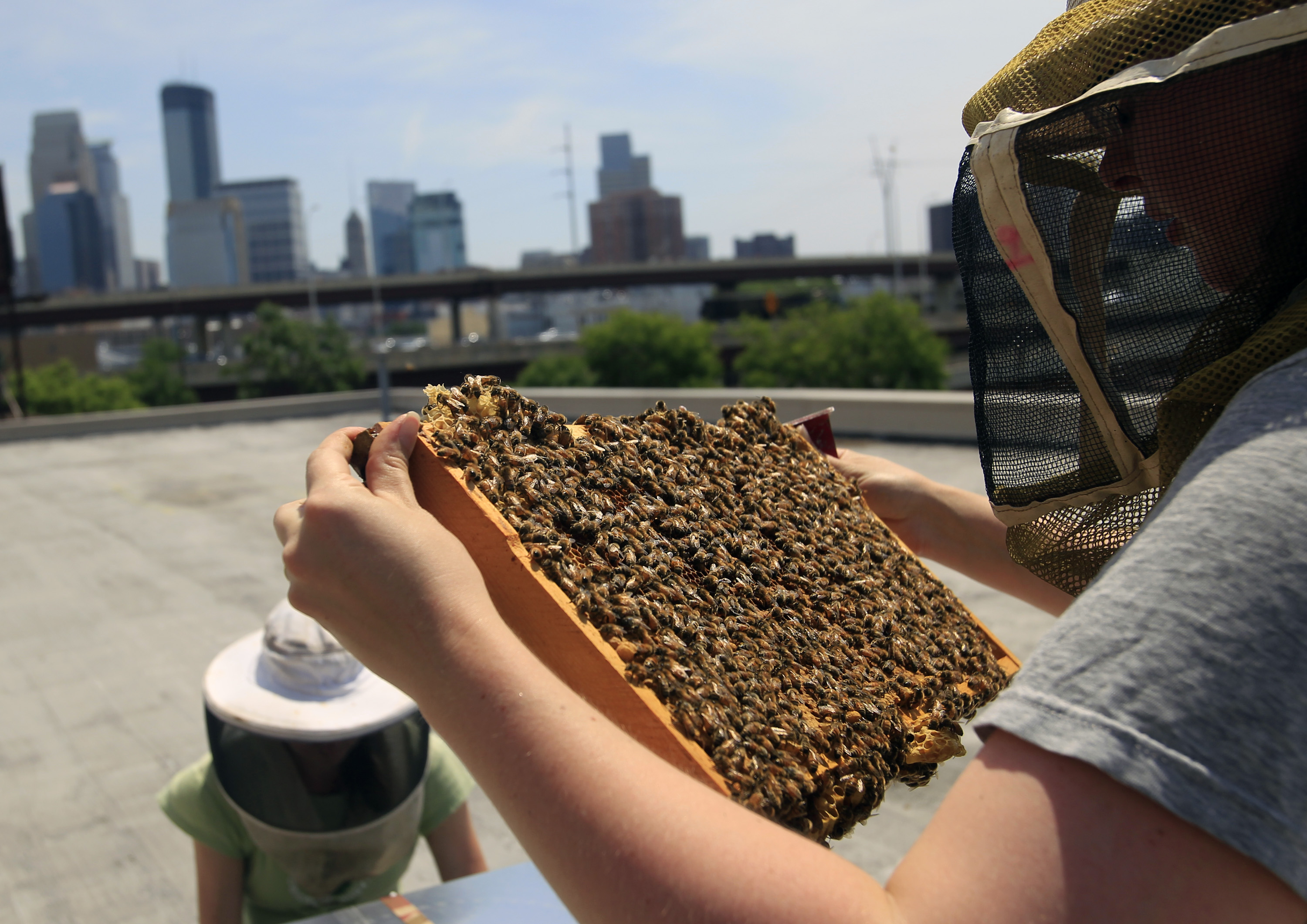EXT XEN.0010 Beekeeping in Northern Climates University of Minnesota